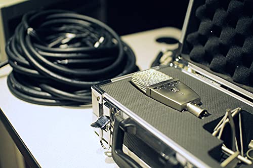 sE Electronics T2 Dual-Titanium Diaphragm Condenser Microphone