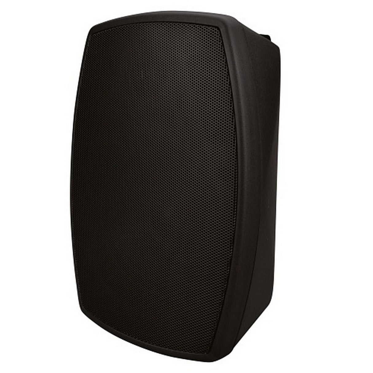 Beale Street Audio W5VB-BSC 5.25-Inch On-Wall Indoor/Outdoor Speaker