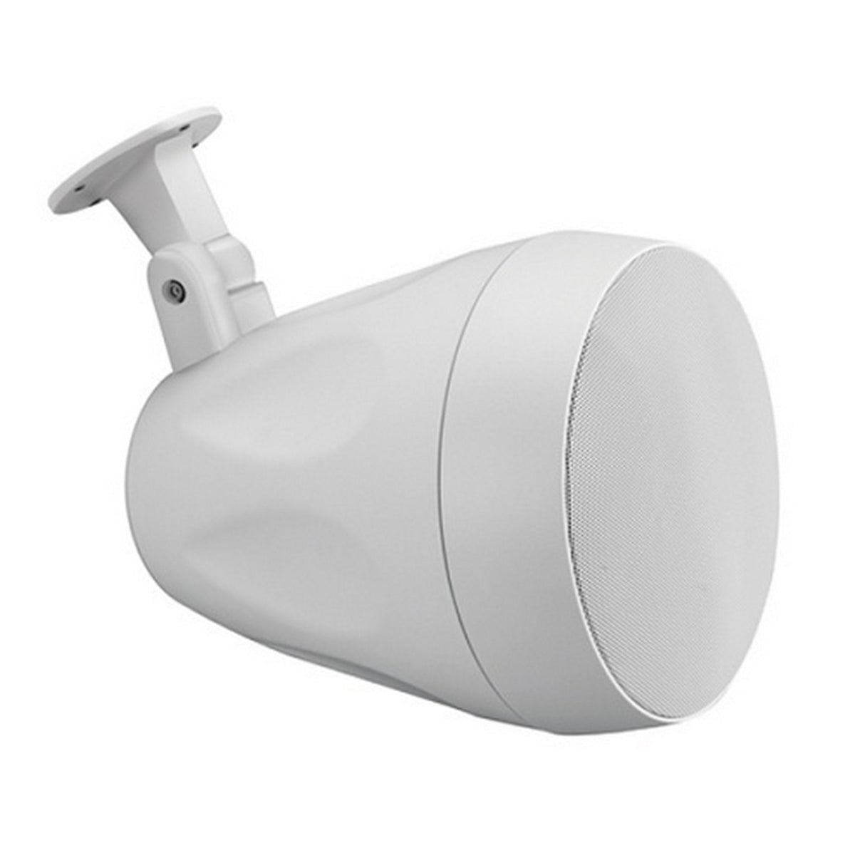 Beale Street Audio WP4VWBSC 4-Inch Indoor/Outdoor On-Wall / Pendant Speaker