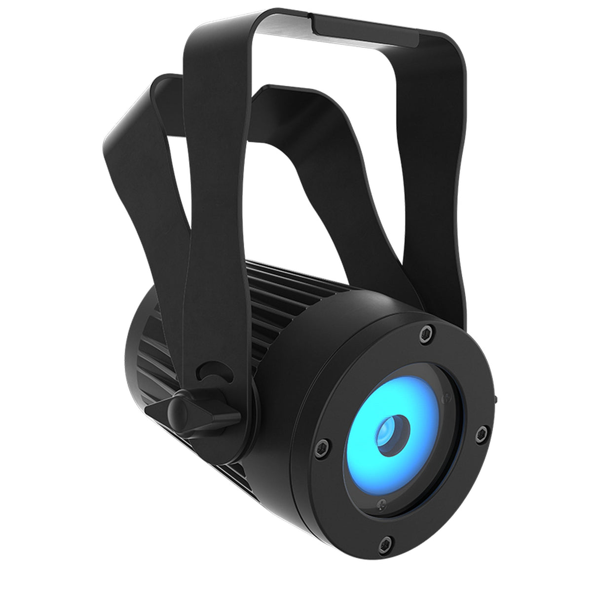 Chauvet Professional COLORdash Accent 5X IP LED Wash Light