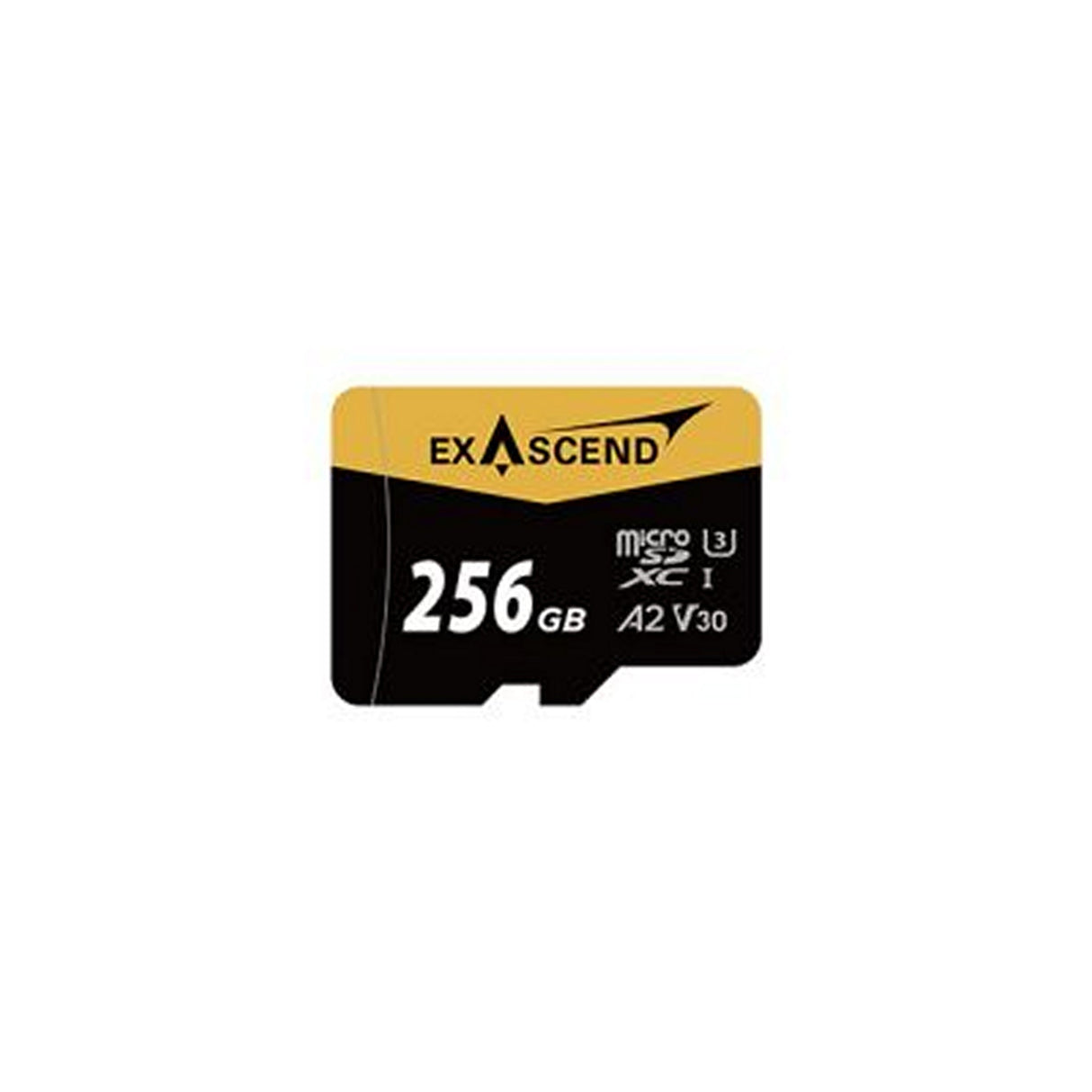 Exascend microSDXC UHS-I V30 Memory Card 256GB
