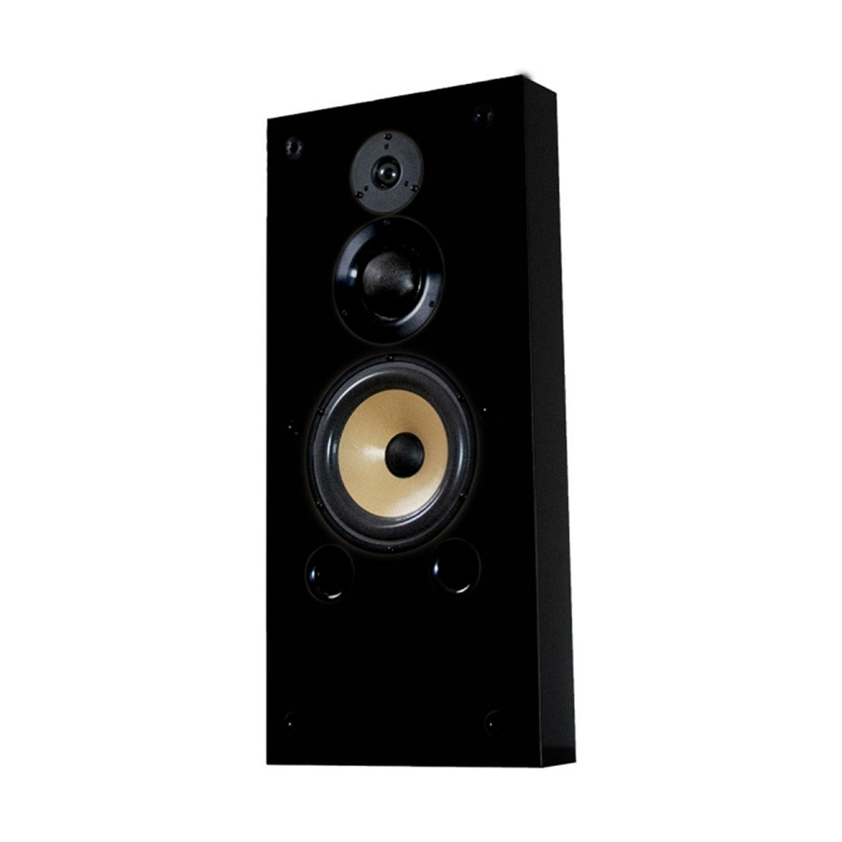 Induction Dynamics S1.8W Wall-Mountable Bookshelf Speaker Custom Finish - Black Gloss