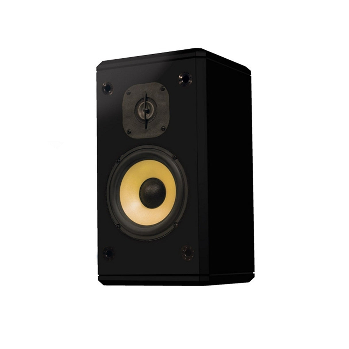 Induction Dynamics S2 Two-Way Single Corner Single Loudspeaker in Black Gloss - Black Gloss