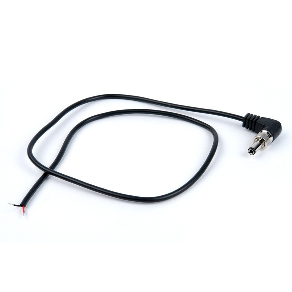 Remote Audio BDSCPT BDS Output Cable to Tinned Leads for Custom Wiring 2 ft
