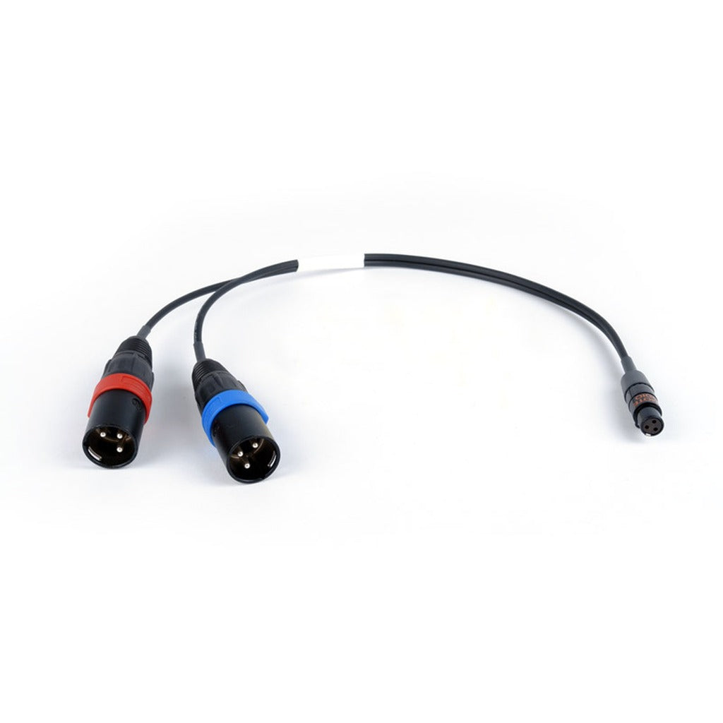 Remote Audio CASD442TOY TA3F to Dual XLR3M Tape/Mix Out Breakout Cable 12 in