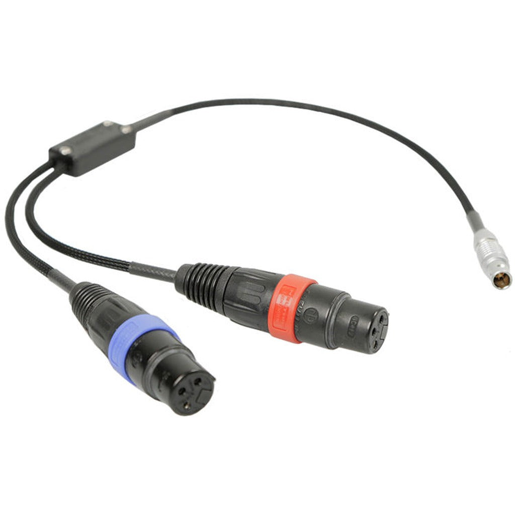 Remote Audio CAXSTEL6M Dual XLR3F to 6-Pin LEMO Stereo Cable for Alexa Mini LF