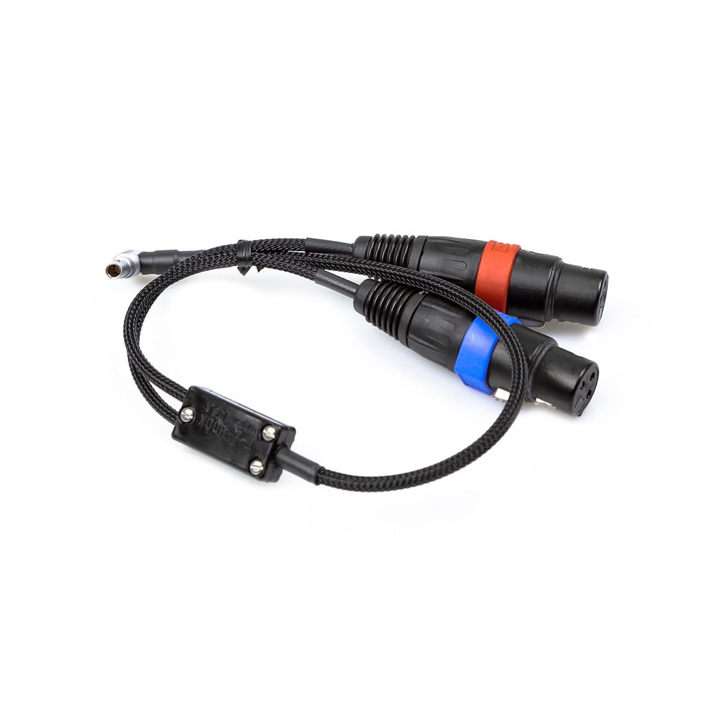 Remote Audio CAXSTEMLR5 Dual XLR3F to RA Mini 5-Pin LEMO Cable for Alexa Mini