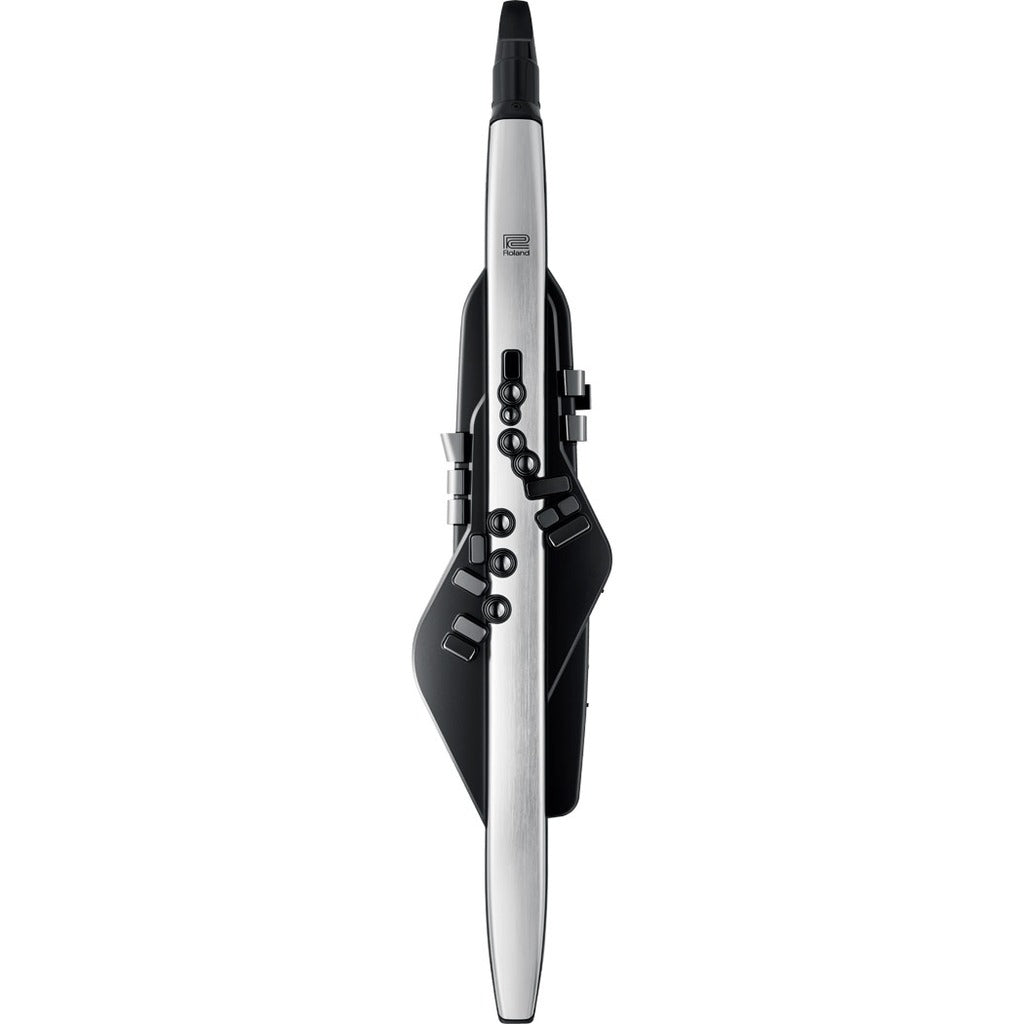 Roland AE-30 Aerophone Pro Digital Wind Instrument
