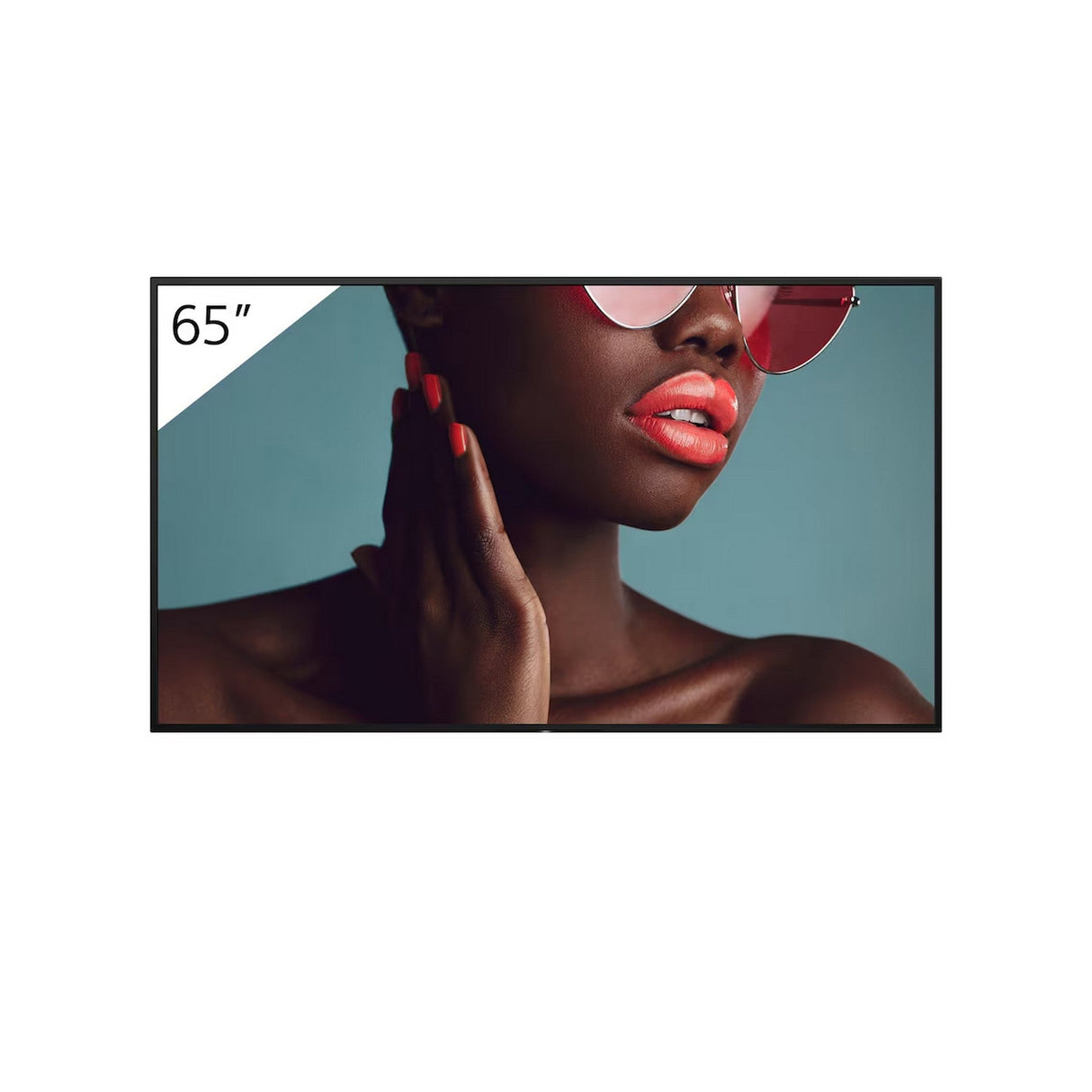 Sony BRAVIA 4K HDR PRO Display with Deep Black Non-Glare Technology - 65’’ Display
