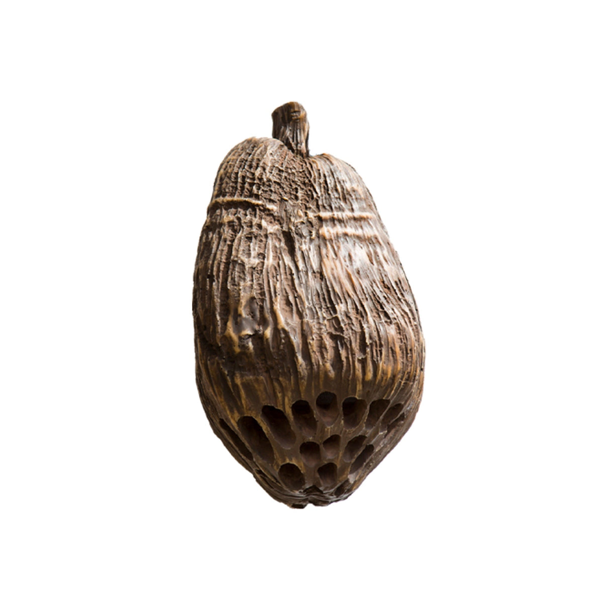 SoundTube COCONUTZ 2-Way Hanging Outdoor Speaker