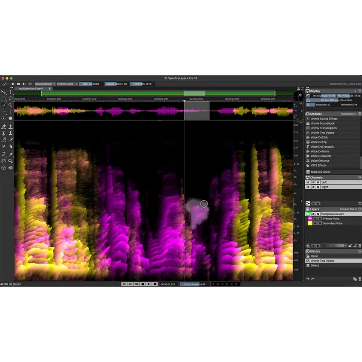 Steinberg SpectraLayers Pro 13 Spectral Audio Editing & Restoration Software