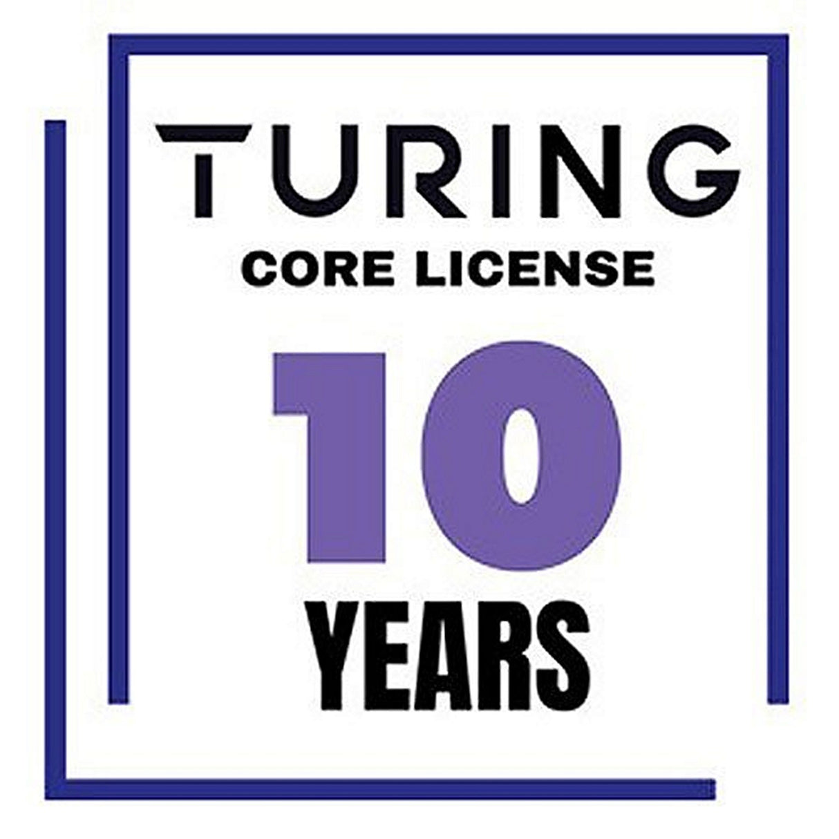 Turing Video Vision VSaaS Core License Year/Camera - 10 Years