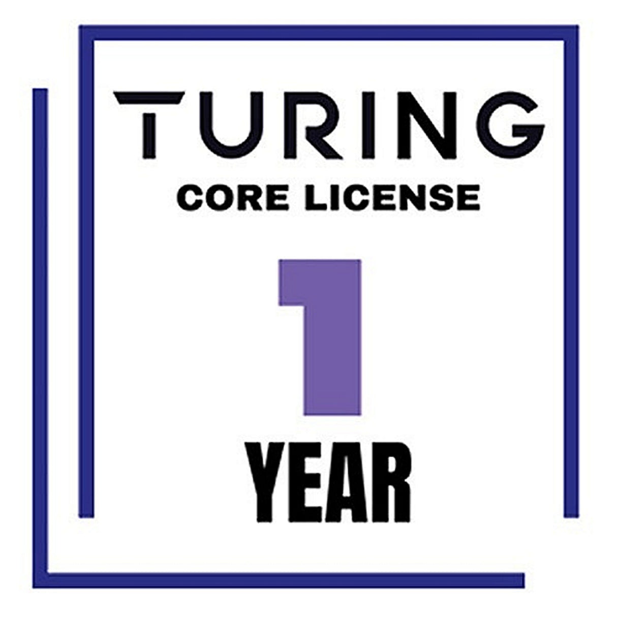 Turing Video Vision VSaaS Core License Year/Camera - 1 Year