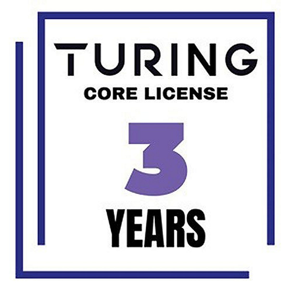 Turing Video Vision VSaaS Core License Year/Camera - 3 Years