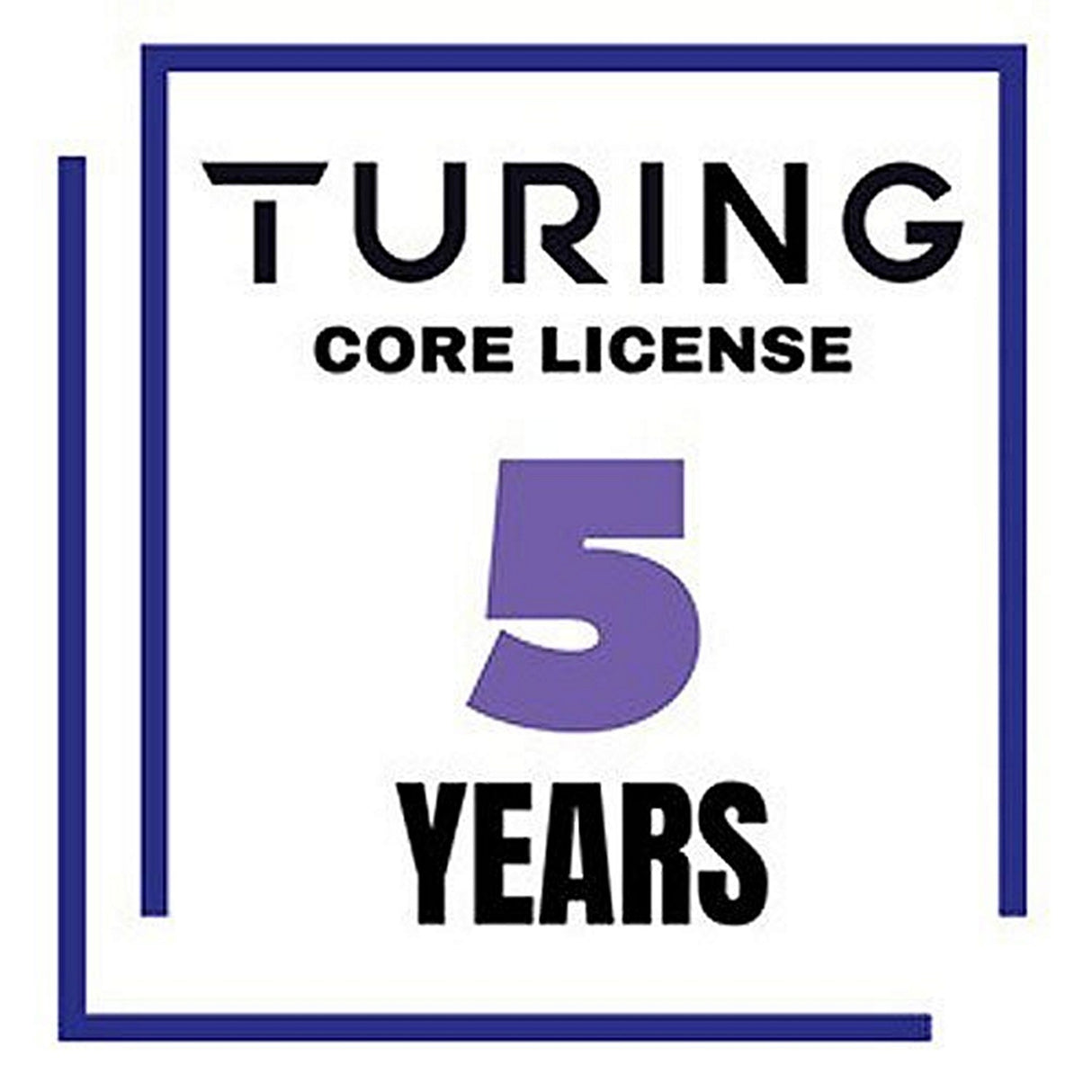 Turing Video Vision VSaaS Core License Year/Camera - 5 Years