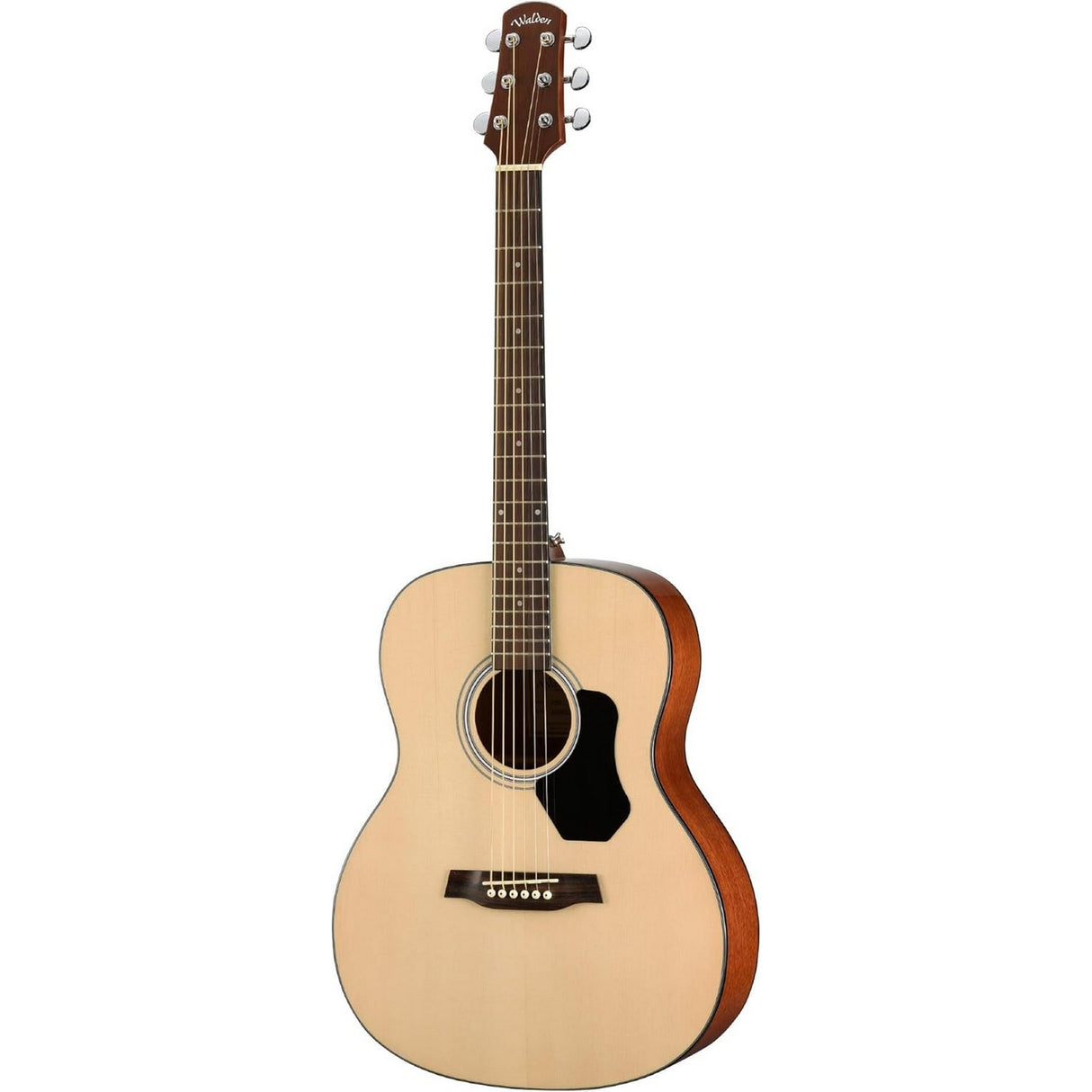 Walden O450/W Standard 400 Orchestra 6-String Acoustic Guitar, Gloss Finish