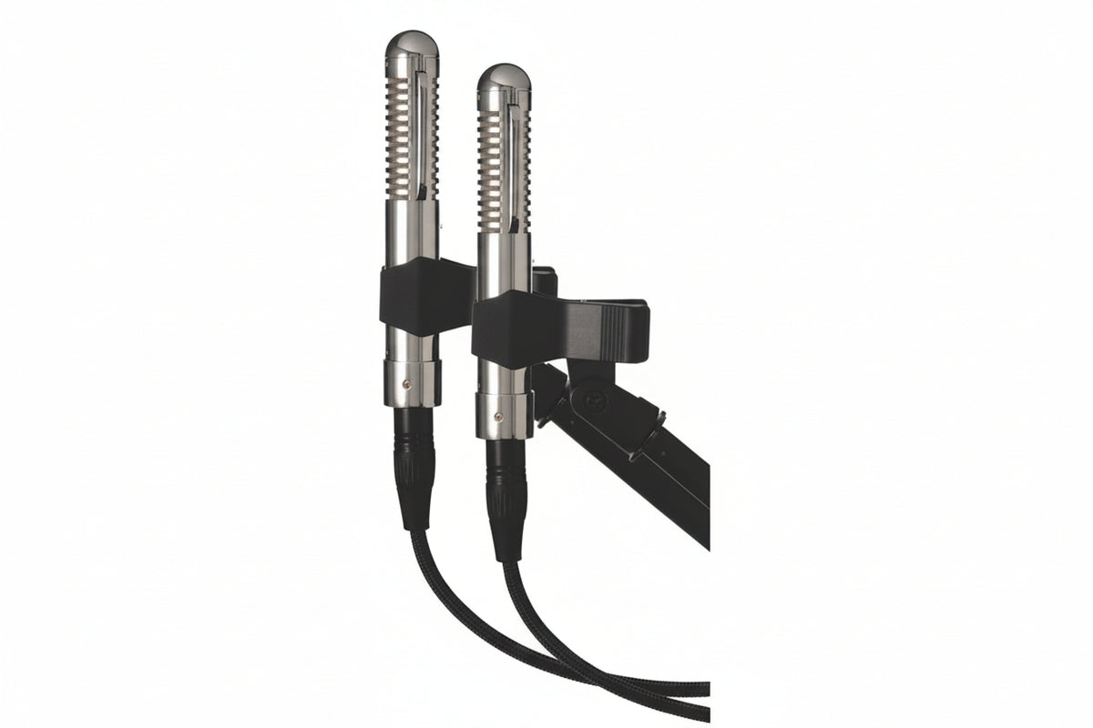 Warm Audio WA-2FT Fen-Tone Matched Pair Ribbon Microphones