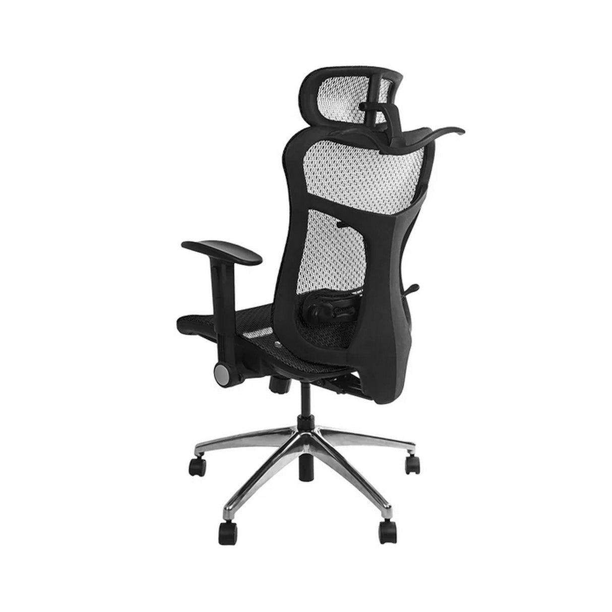 Wavebone Viking Multifunctional Studio Chair