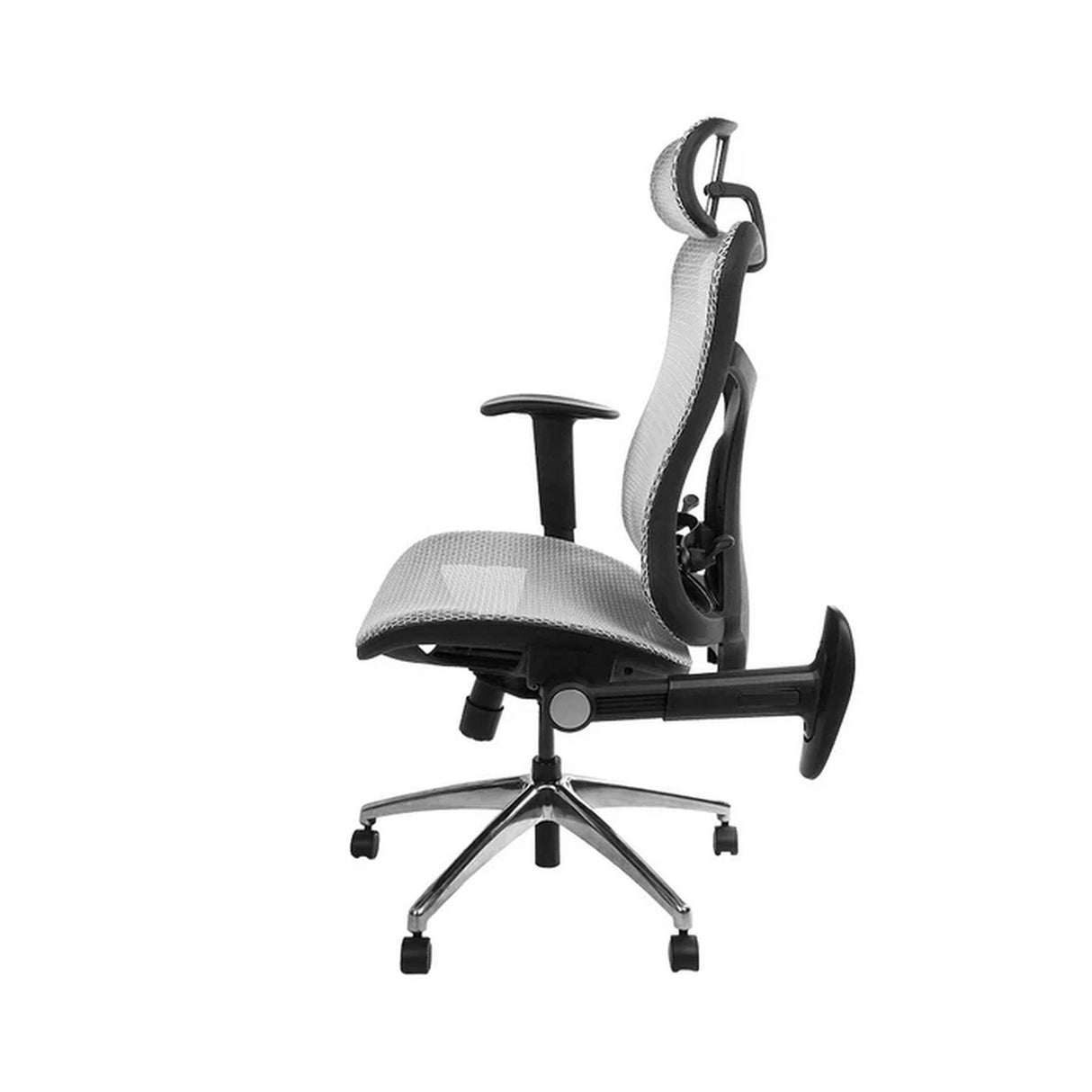 Wavebone Viking Multifunctional Studio Chair