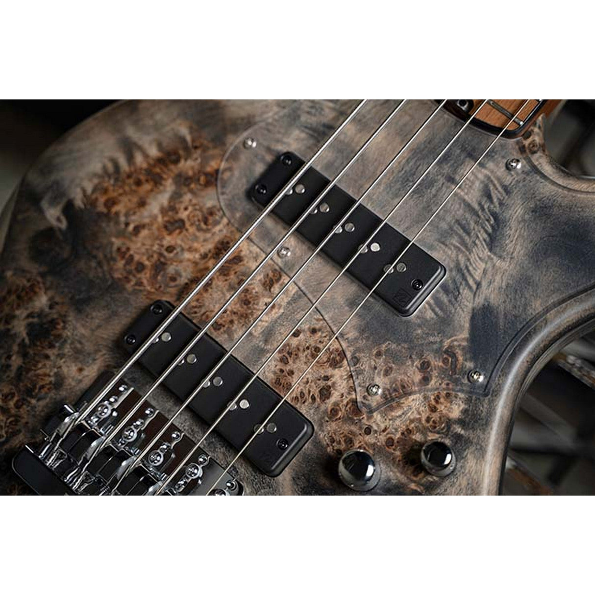 Cort GB-Modern 5 String Bass Guitar with Case - guitar