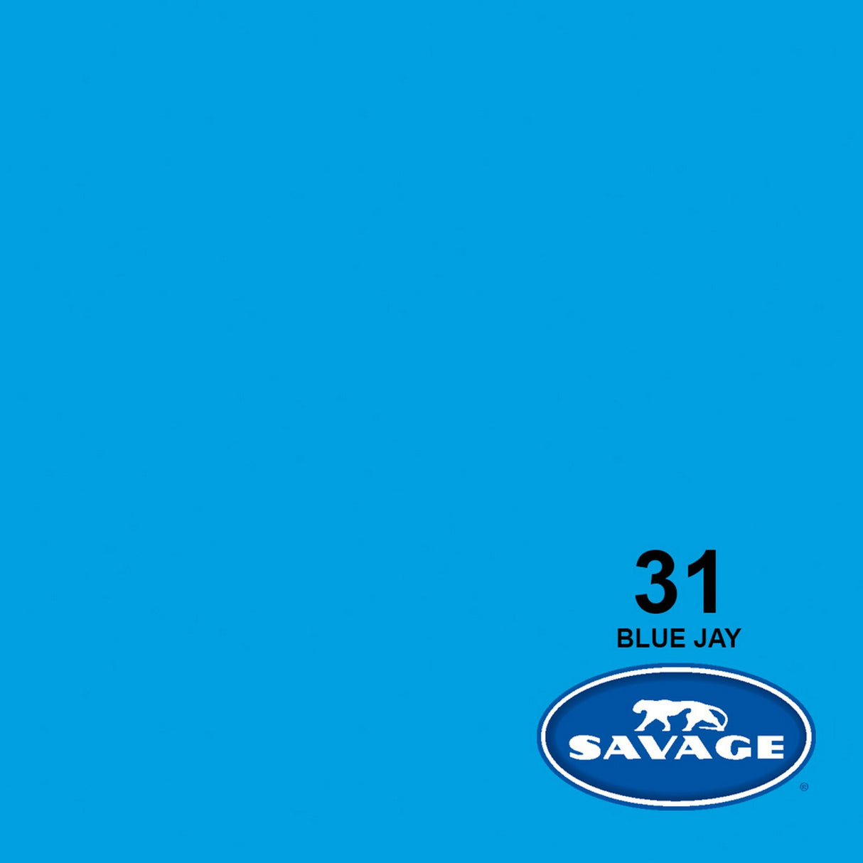 Savage 53-Inch x 12-Yards Widetone Seamless Background Paper Blue Jay