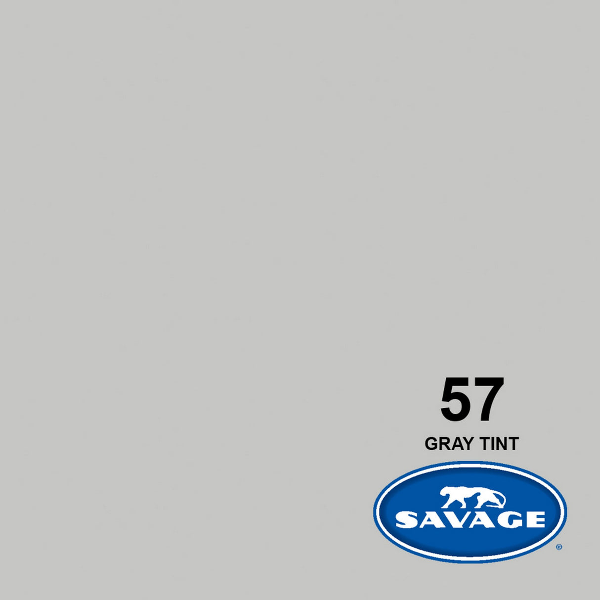 Savage 53-Inch x 12-Yards Widetone Seamless Background Paper Gray Tint