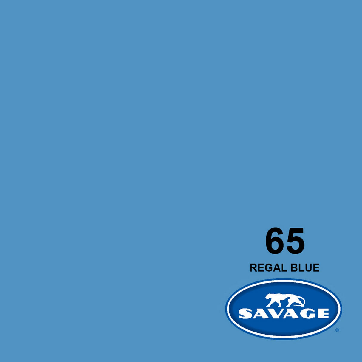 Savage 107-Inch x 50-Yards Widetone Seamless Background Paper Regal Blue