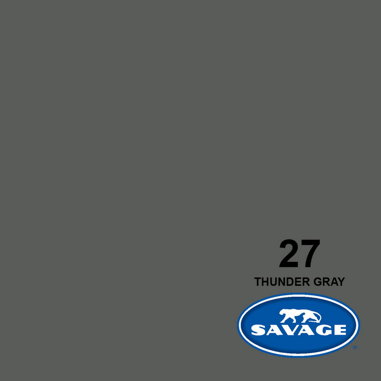 Savage 107-Inch x 50-Yards Widetone Seamless Background Paper Thunder Gray