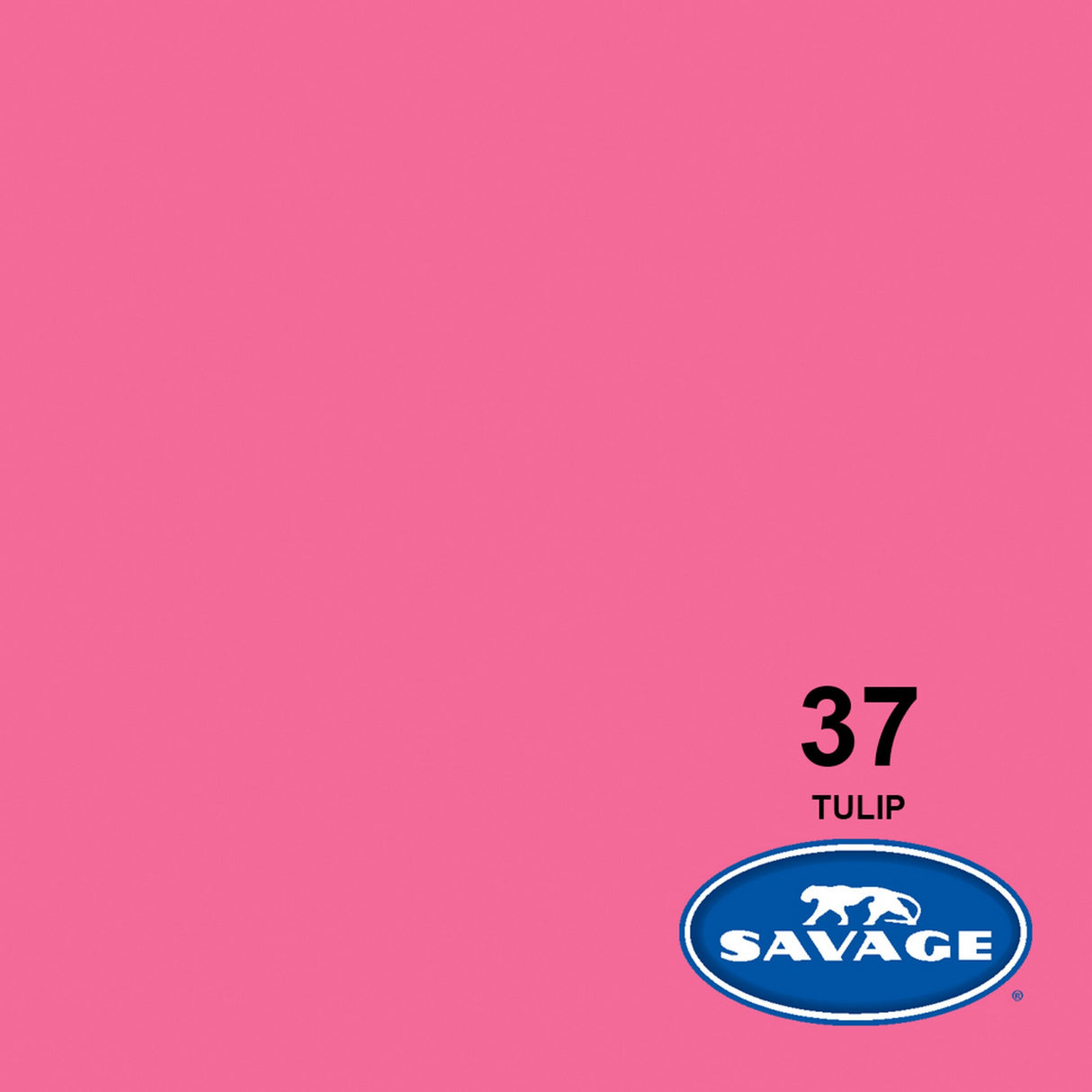 Savage 26-Inch x 12-Yards Widetone Seamless Background Paper Tulip