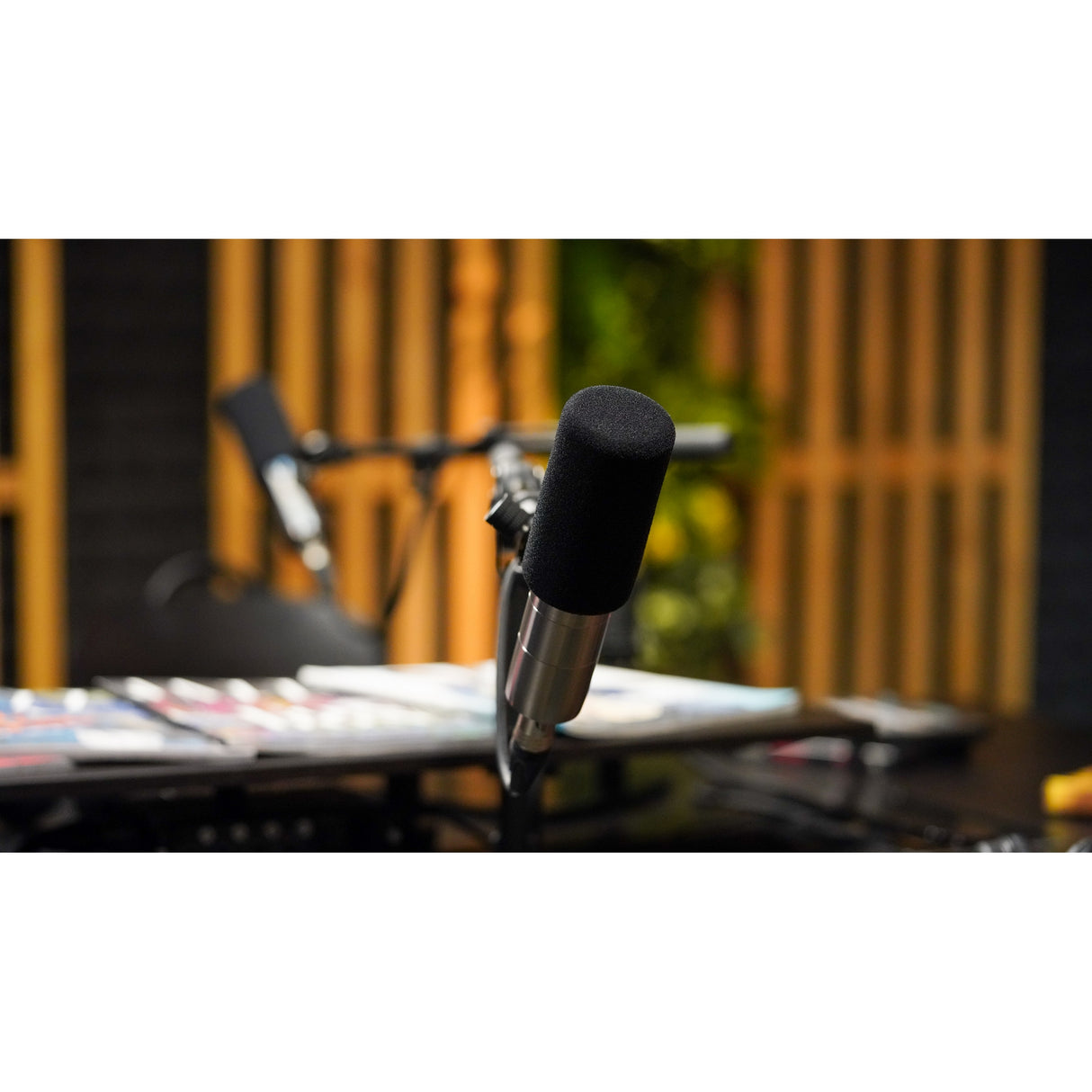 Earthworks ETHOS XLR Broadcasting Condenser Microphone Stainless Steel