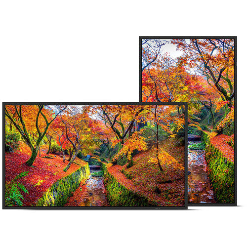 Sharp NEC PNE759 75-Inch 4K UHD Professional Display