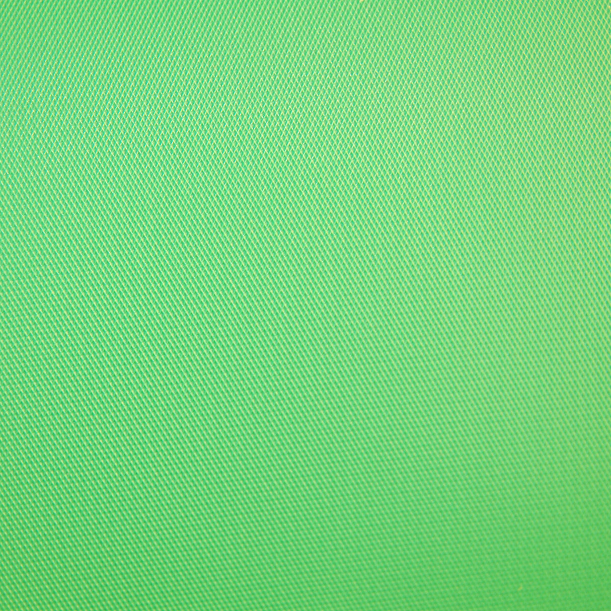 Savage 10 x 10-Foot Solid Vinyl Backdrop Background, Chroma Green