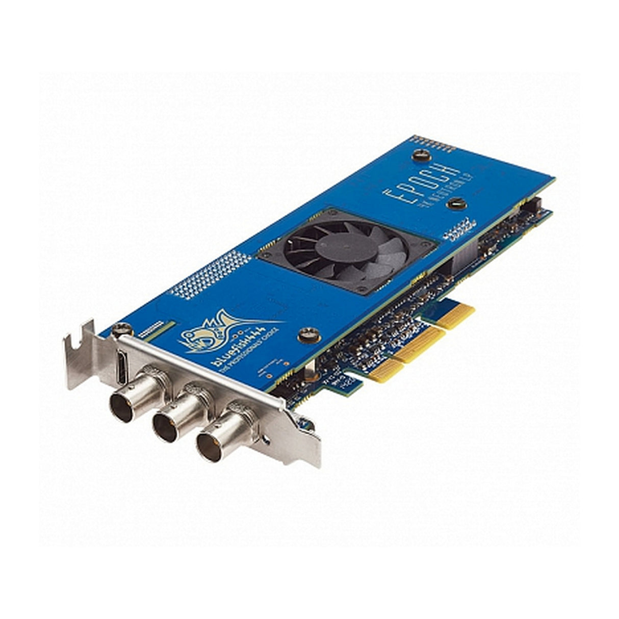 Bluefish444 EB3006F | Epoch 4K Neutron Low Profile Developer Card