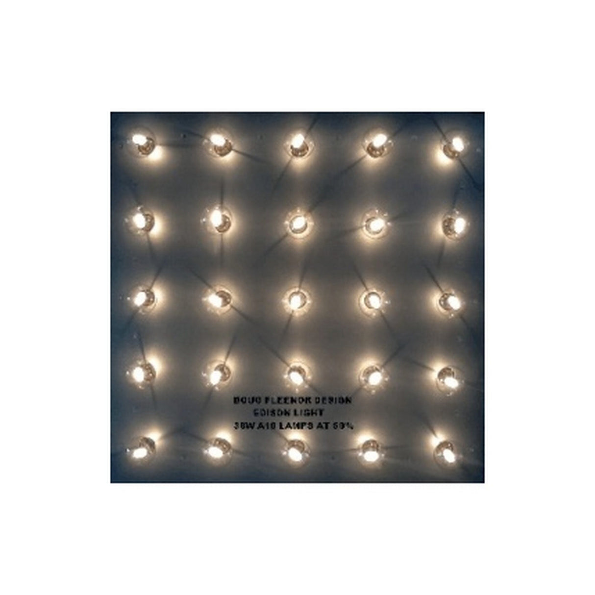 Doug Fleenor Design Edison Arrayable 25 Lamp Panel Lighting Fixture