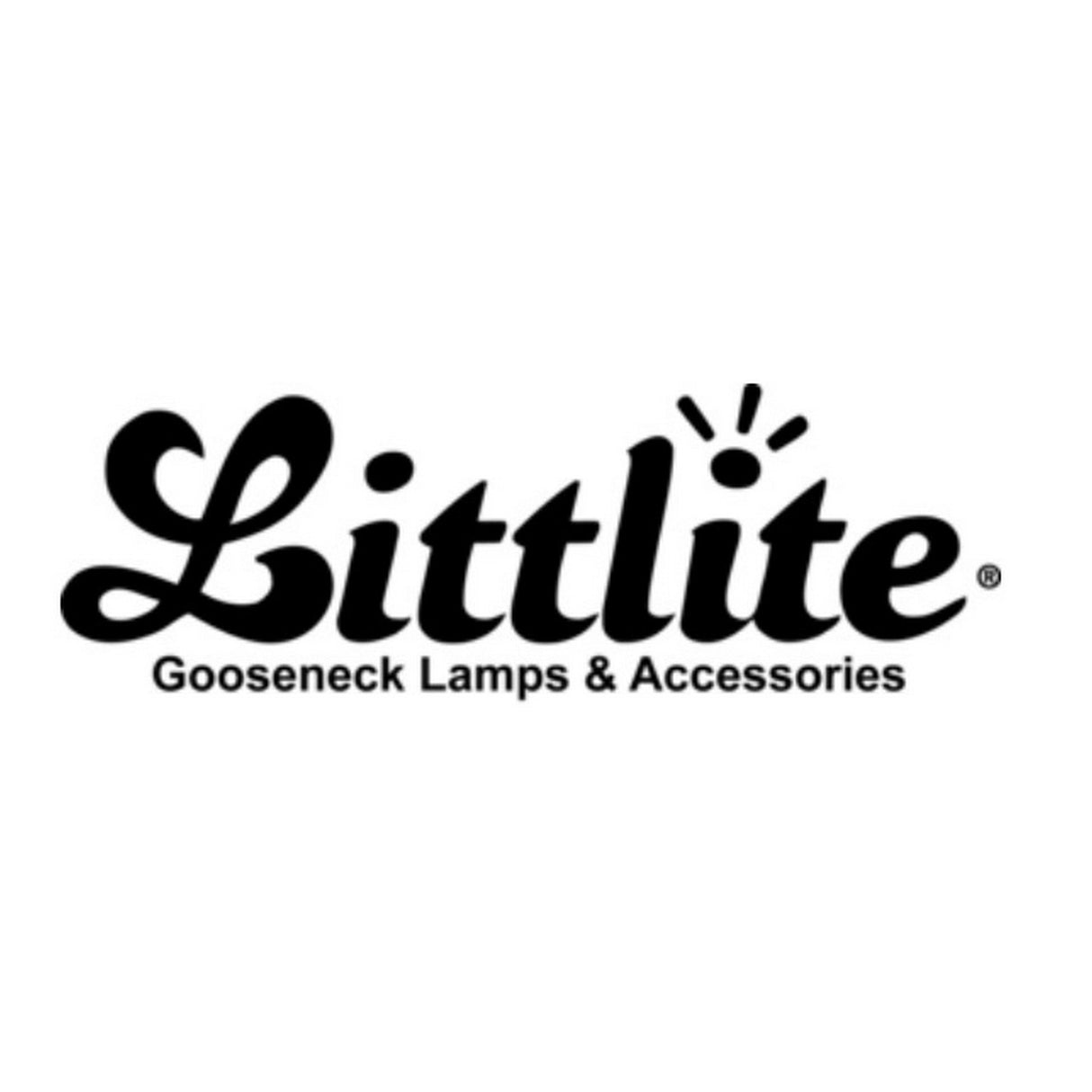 Littlite LW-12E-HI | 12 Inch 5 Watt Gooseneck LED Desk Light with Euro Type C Plug Power Supply