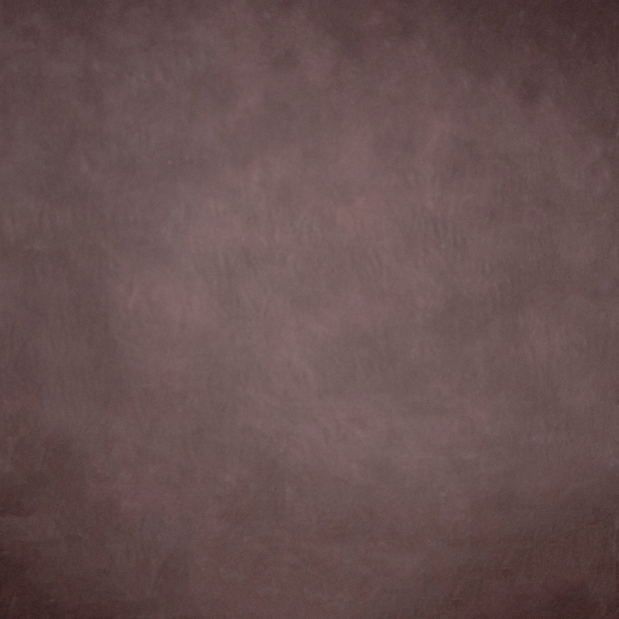 Savage Marsala Painted Canvas Backdrop 8 x 12-Feet