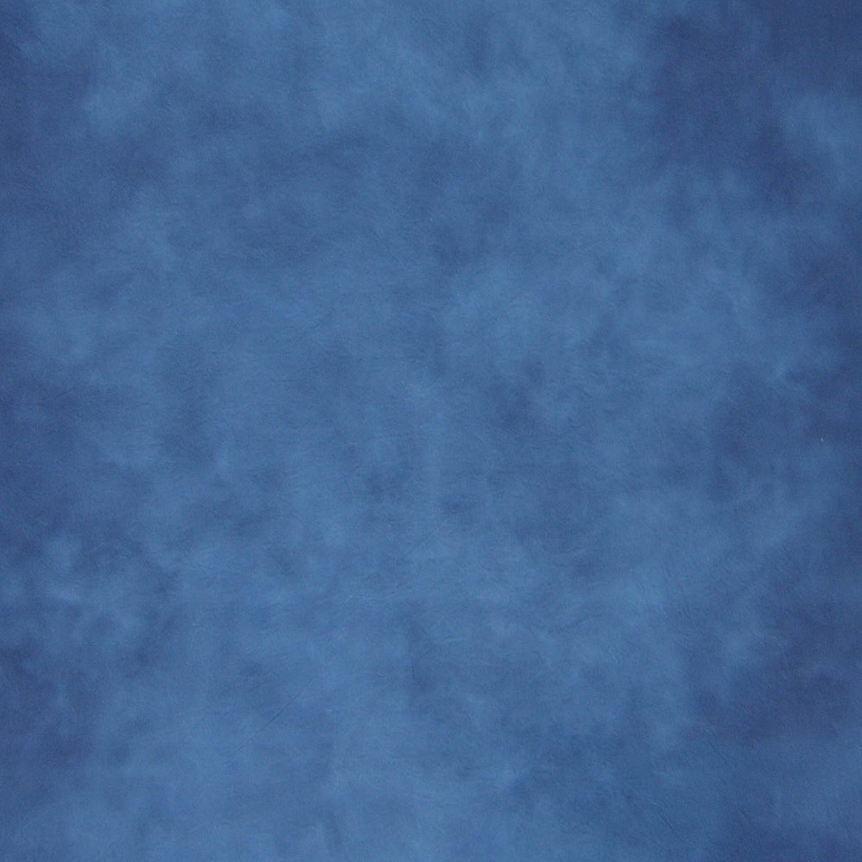 Savage Midnight Painted Canvas Backdrop 5 x 7-Feet