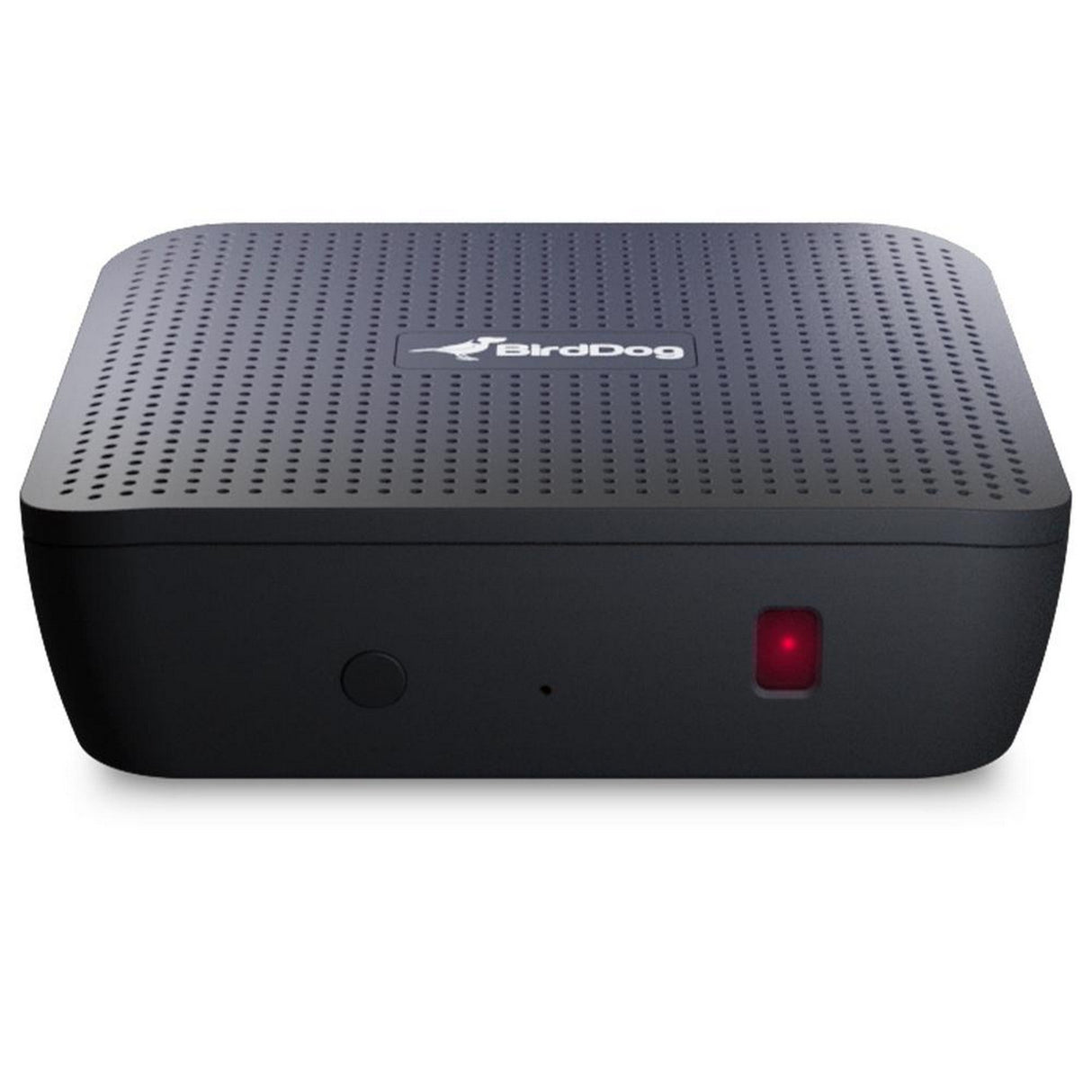 BirdDog Play 4K NDI Player (Used) - used