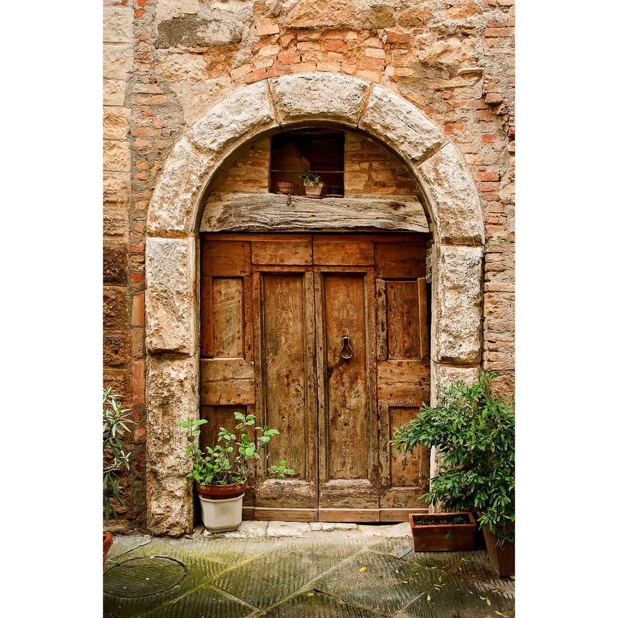 Savage 5 x 7-Foot Printed Vinyl Background Italian Doorway