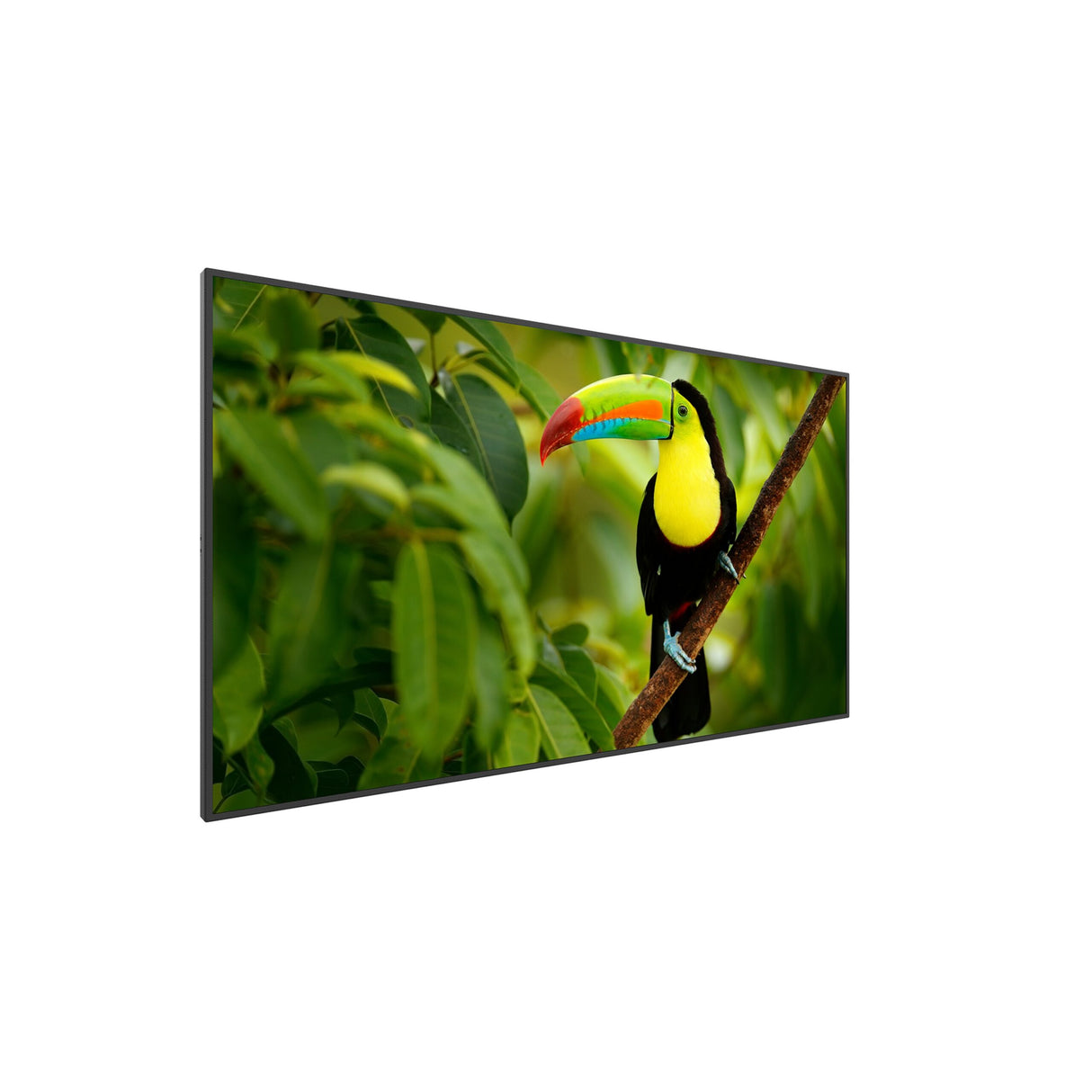 Planar SL4364K 43 Inch Simplicity Series 4K LCD Display