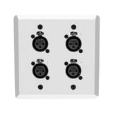 SoundTools WallCAT 2 Gang Wall Panel with 4 Female XLR to RJ45, Silver