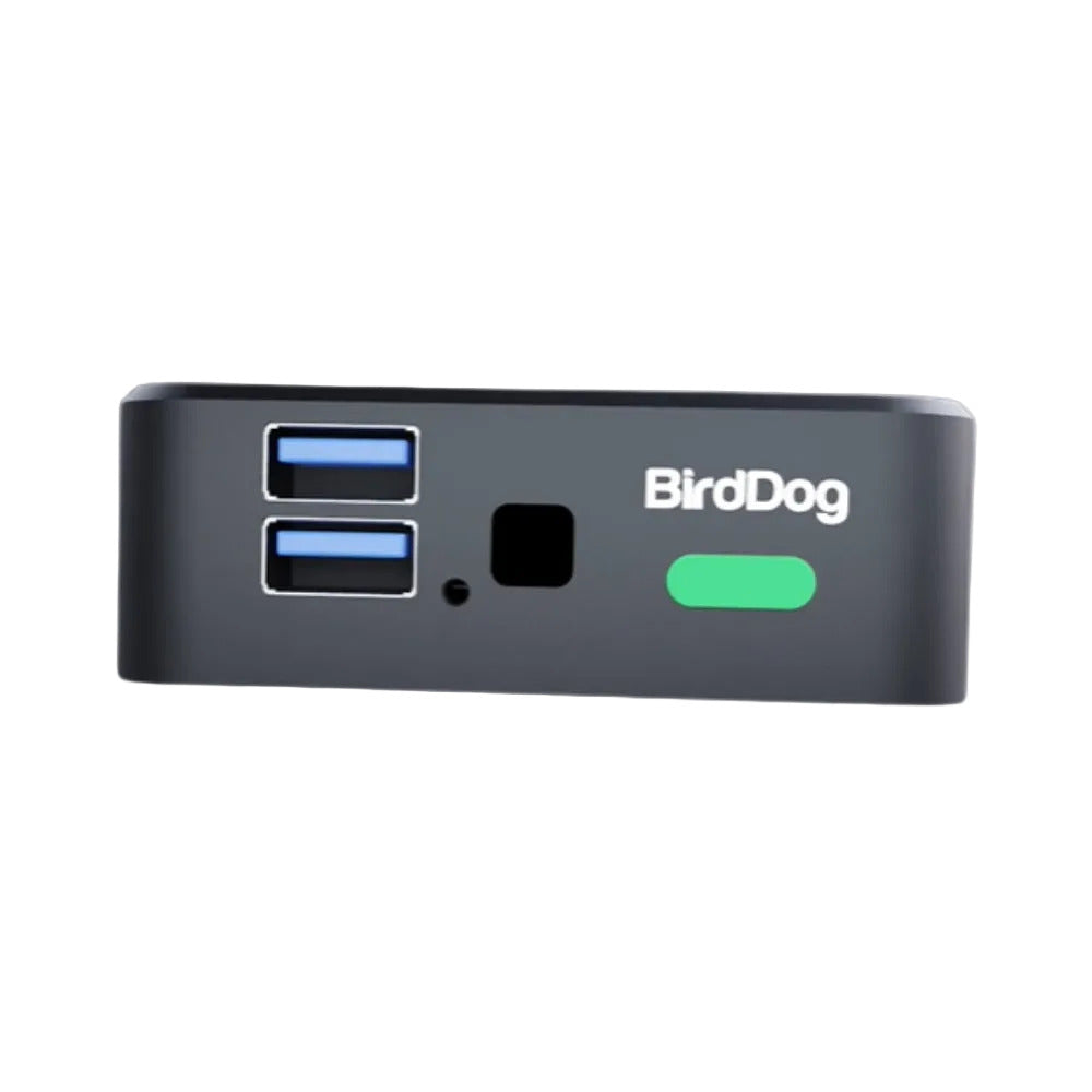 BirdDog Play Pro 4K NDI Player