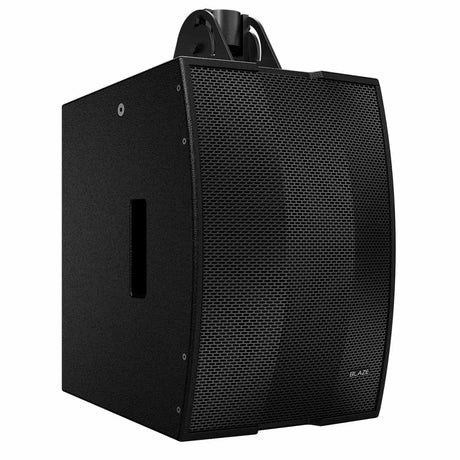 Blaze Audio CDD528-BA-B Constant Directivity Passive Point Source Speaker, Black