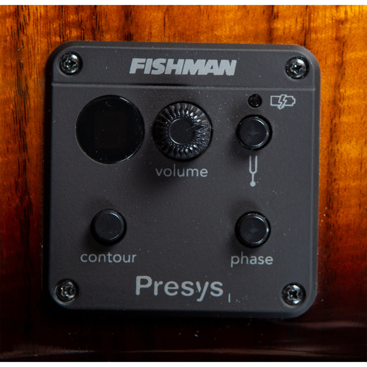 Breedlove Pursuit Exotic S Concert CE Acoustic-Electric Guitar, Edgeburst Finish