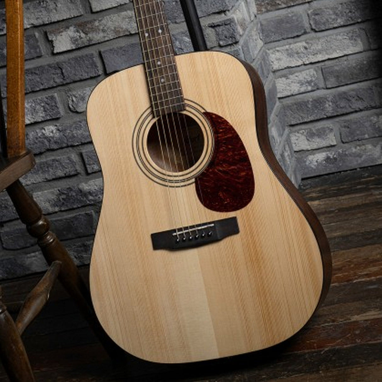 Cort Earth Series Acoustic Guitar Starter Pack