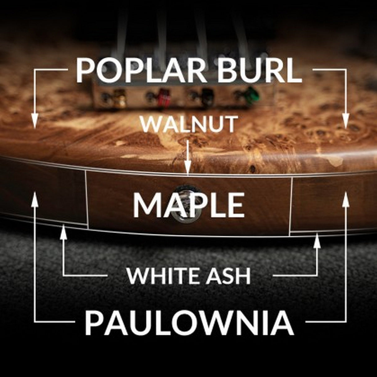 Cort GB-Modern 5 String Bass Guitar with Case - guitar