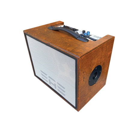 Elite Acoustics D6-58 120-Watt 6-Channel Bluetooth Acoustic Guitar and Vocal Amplifier - amps