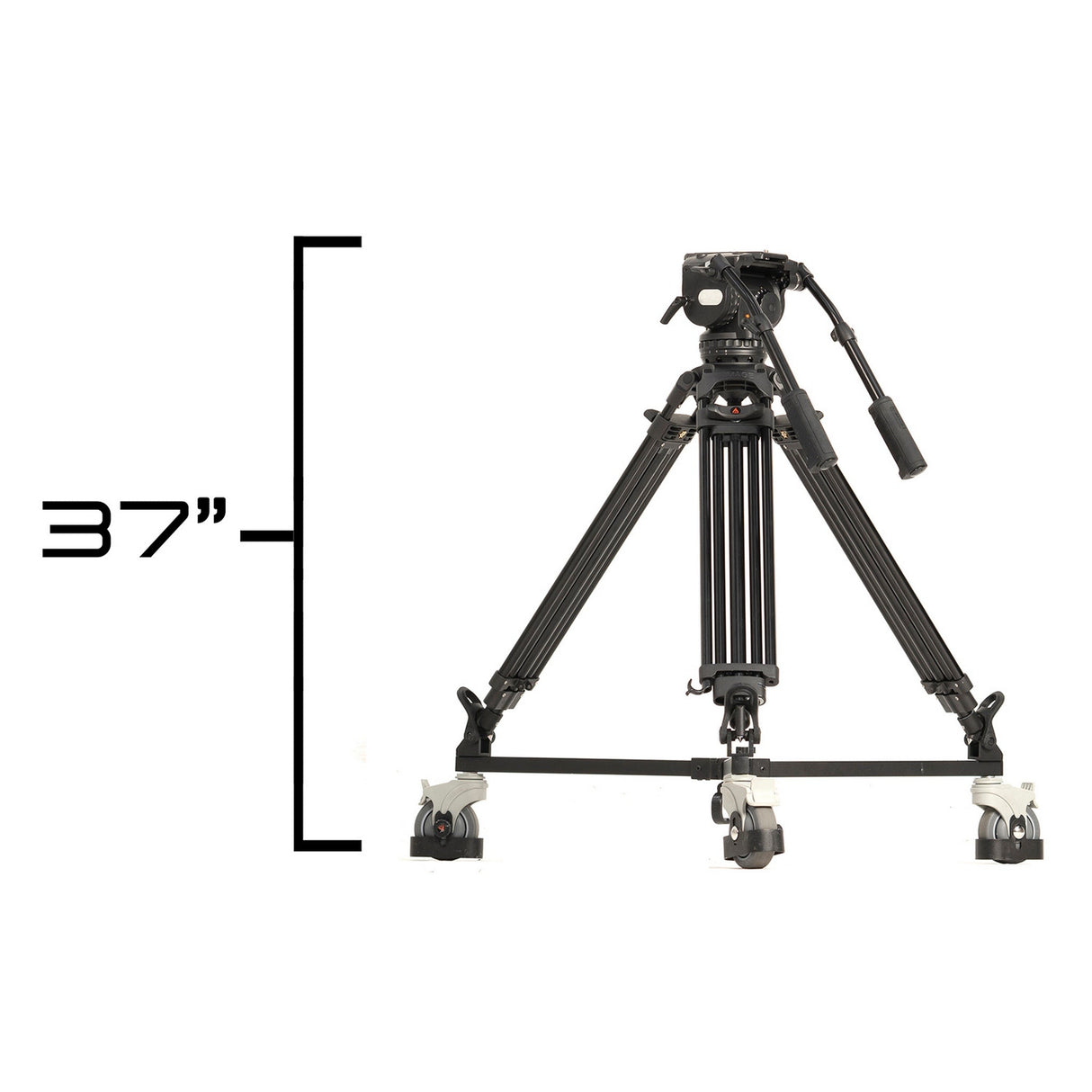 Ikan PT419W-TK-TRIPOD 19-Inch Widescreen Teleprompter, Tripod, Dolly Turnkey, and Travel Kit