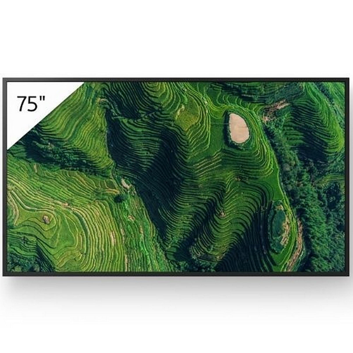 Sony Pro Bravia BZ35P Series 4K HDR Professional Display, 75-Inch