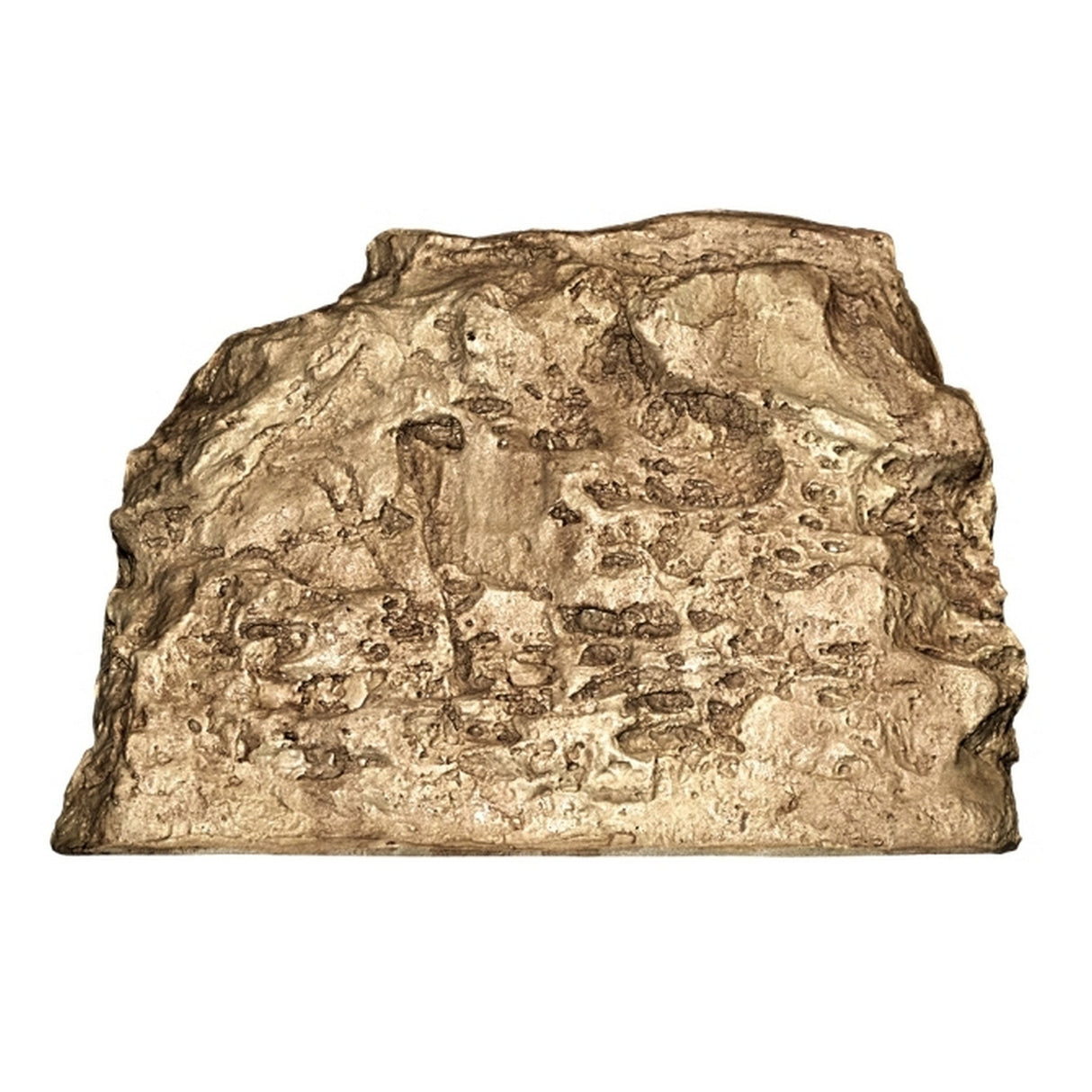 SoundTube EconoRock 6.5-Inch Outdoor Rock Speaker